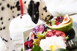 10 human foods which your dogs can eat also