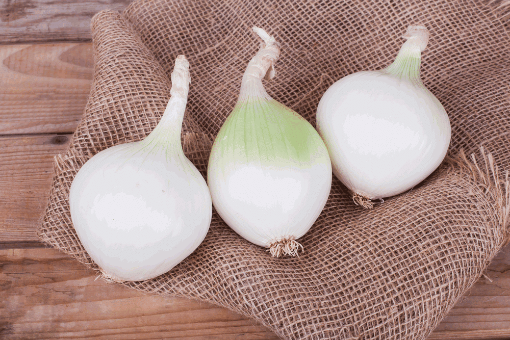 health benefits of white onion