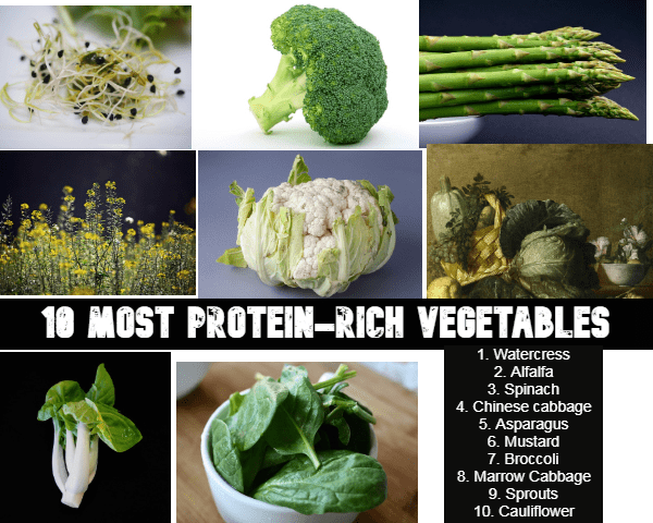10 Most Protein-Rich Vegetables