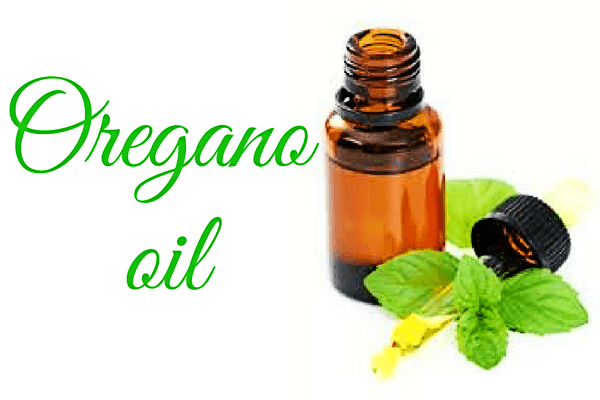 health benefits of oregano oil