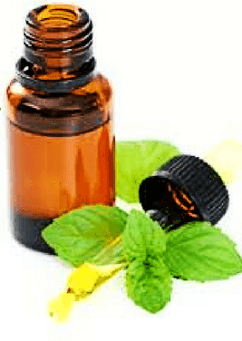 oregano oil health benefits