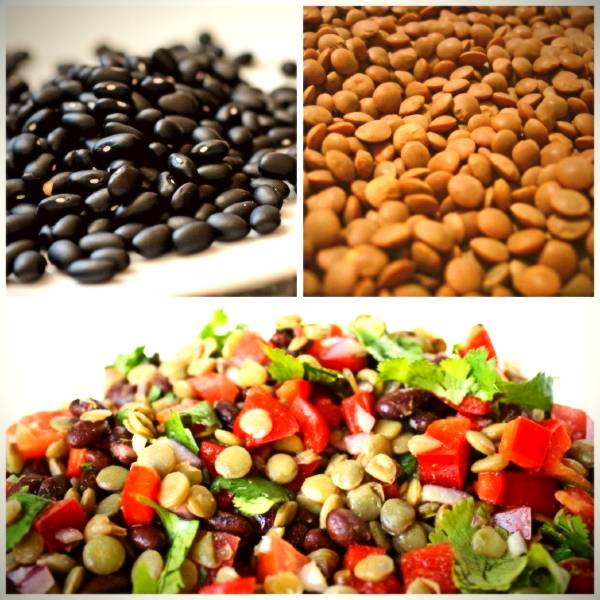 Black bean and lentil salad with lime and coriander vinaigrette rich in protein