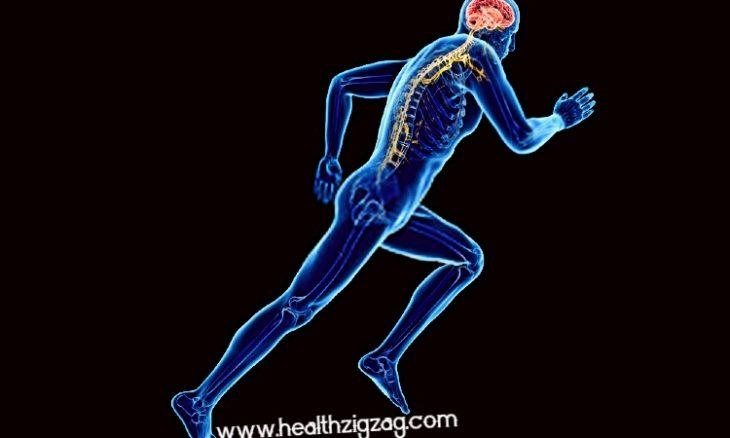 exercise-is-good-for-brain-health-www-healthzigzag