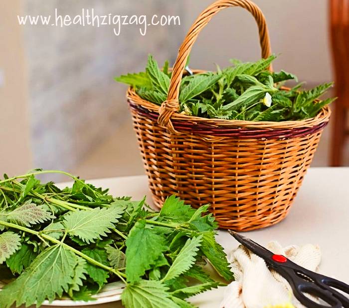 Nettle grass has a beneficial effect, strengthening and revitalizing the hair. 