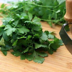 How to clean the kidneys with parsley