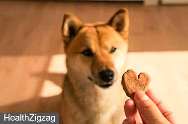 Tuna biscuits for dogs - easy recipe