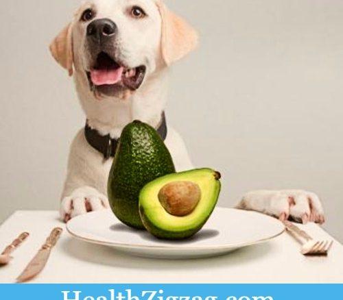 Fruits that dogs should not eat