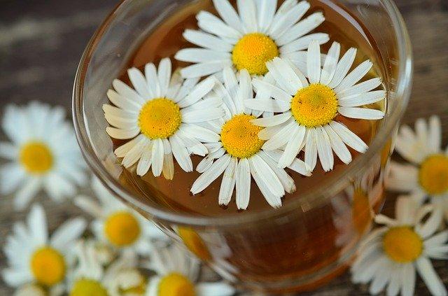 chamomile home remedies for ear pain