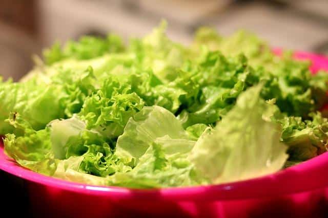 Benefits of lettuce for health